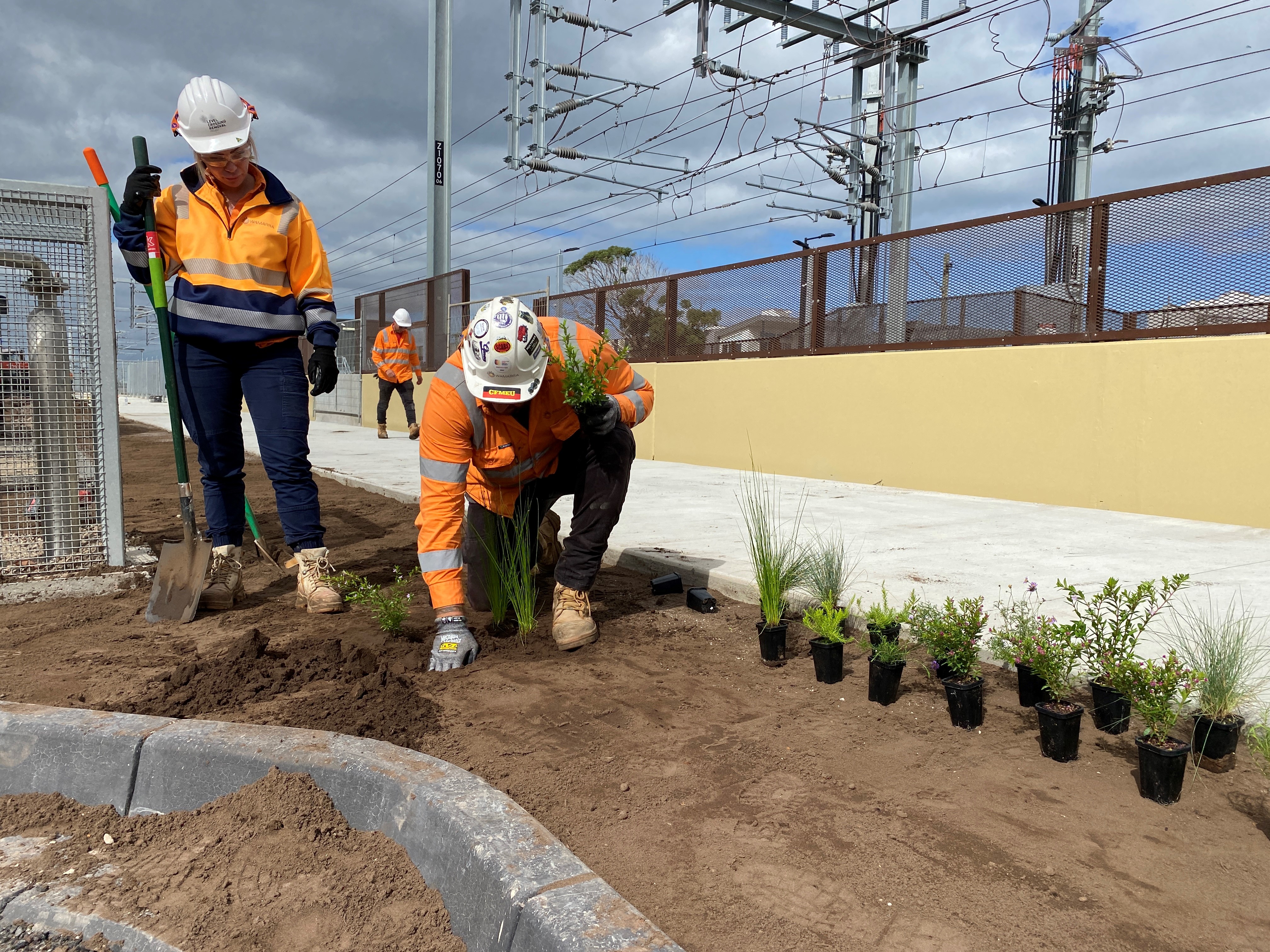 Landscaping underway at Chelsea Station precinct.