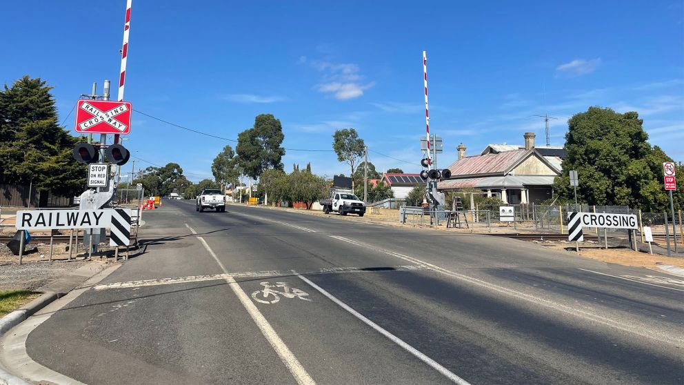 Walklikebancing （Wirrawilla Rainforest Walk） 