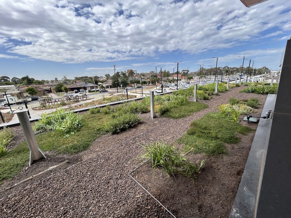 The rooftop garden