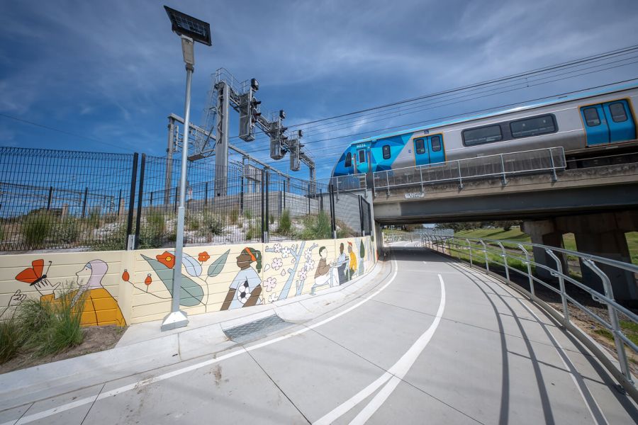 The colourful mural features plants, flowers and bird life found along Dandenong Creek and in Dandenong Park and Woodcock Reserve