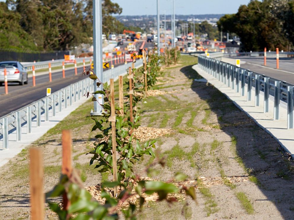 Image of Hallam Road with trees planted between the lanes.There's still ongoing traffic in the background