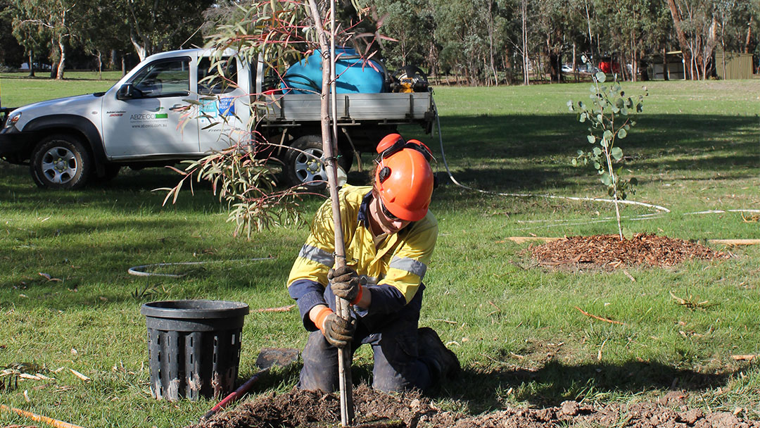 NELP tree planting Simpson Barracks Jul 22
