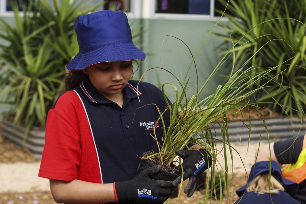 Planting up a storm with Pakenham Springs Primary School