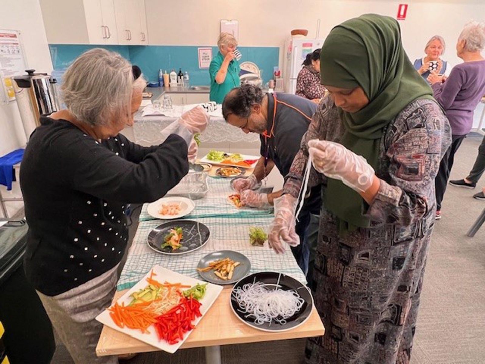 Banyule Support and Information Centre Inc - Social Group 