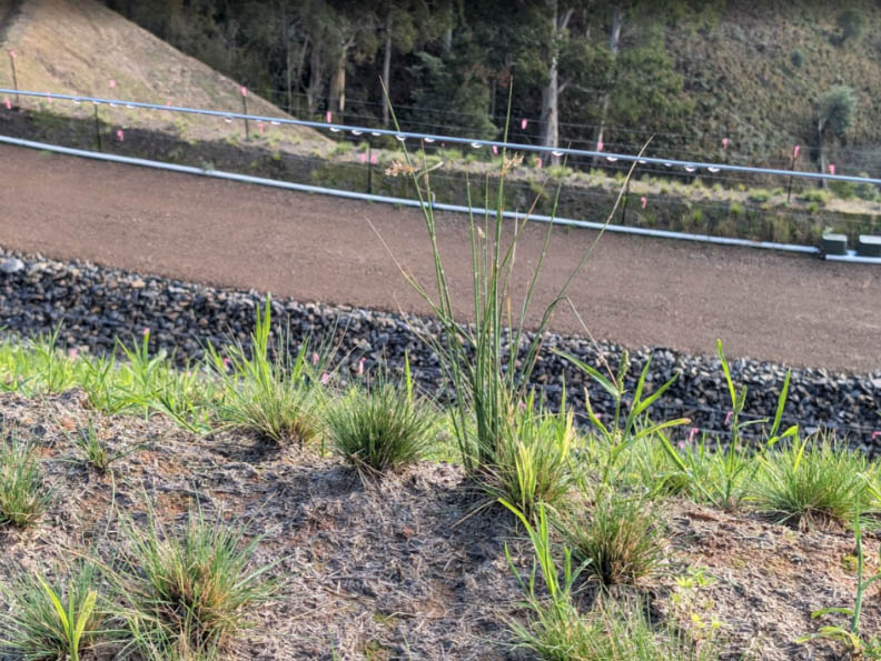 Landscaping on the Bogong High Plains Landslip