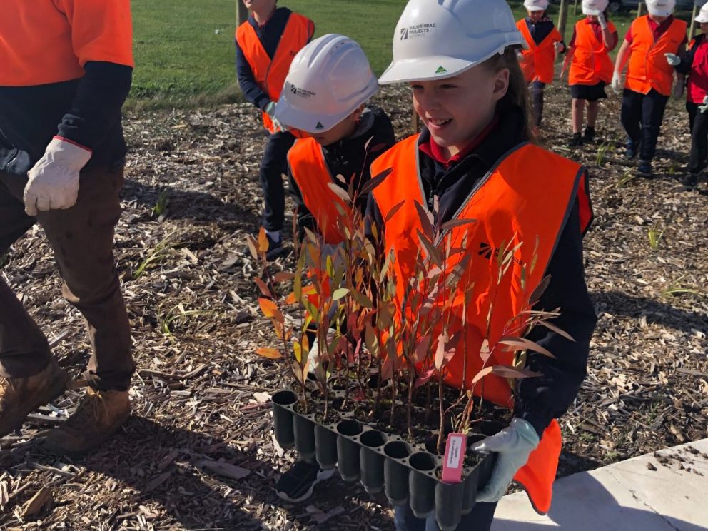 Thompsons Road Upgrade - school children tree planting July 2019