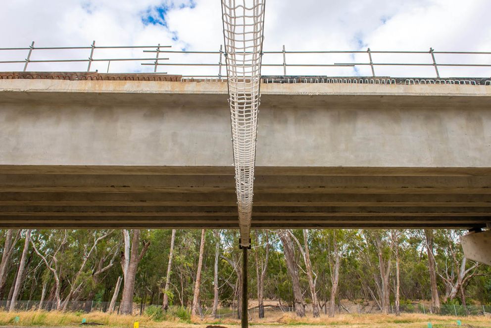 Newly installed Squirrel Glider crossings