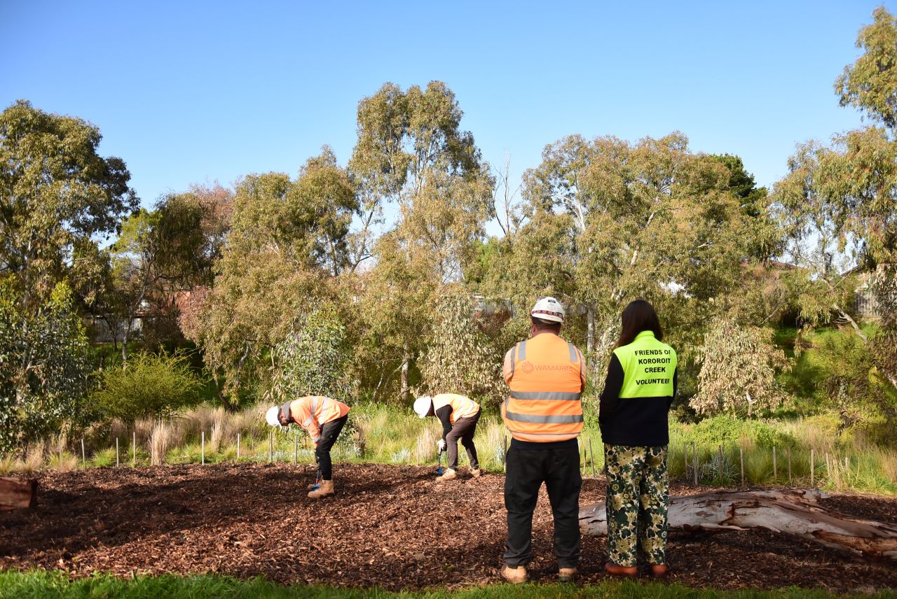 Photo of workers planting trees at Kororoit Creek for National Tree Day