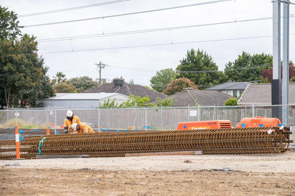 35 pile cages were installed at Camms Road.