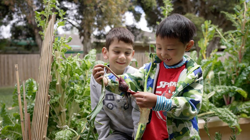 Two preschool aged children in a vegetable garden, one is holding a freshly picked onion.