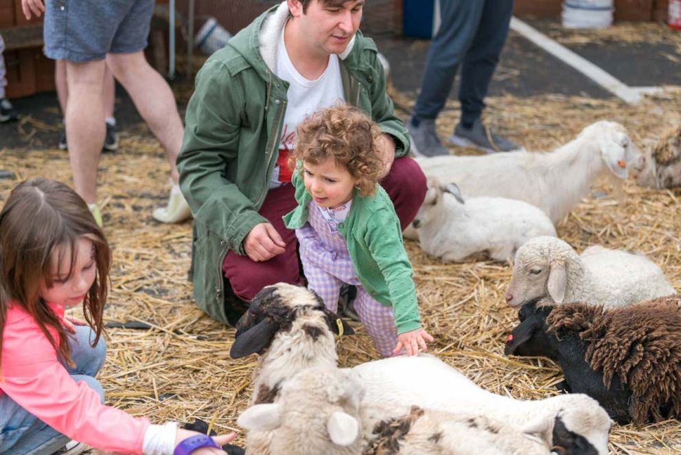 Locals enjoying the petting zoo