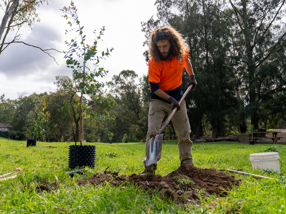 Team member digging a hole for tree planting