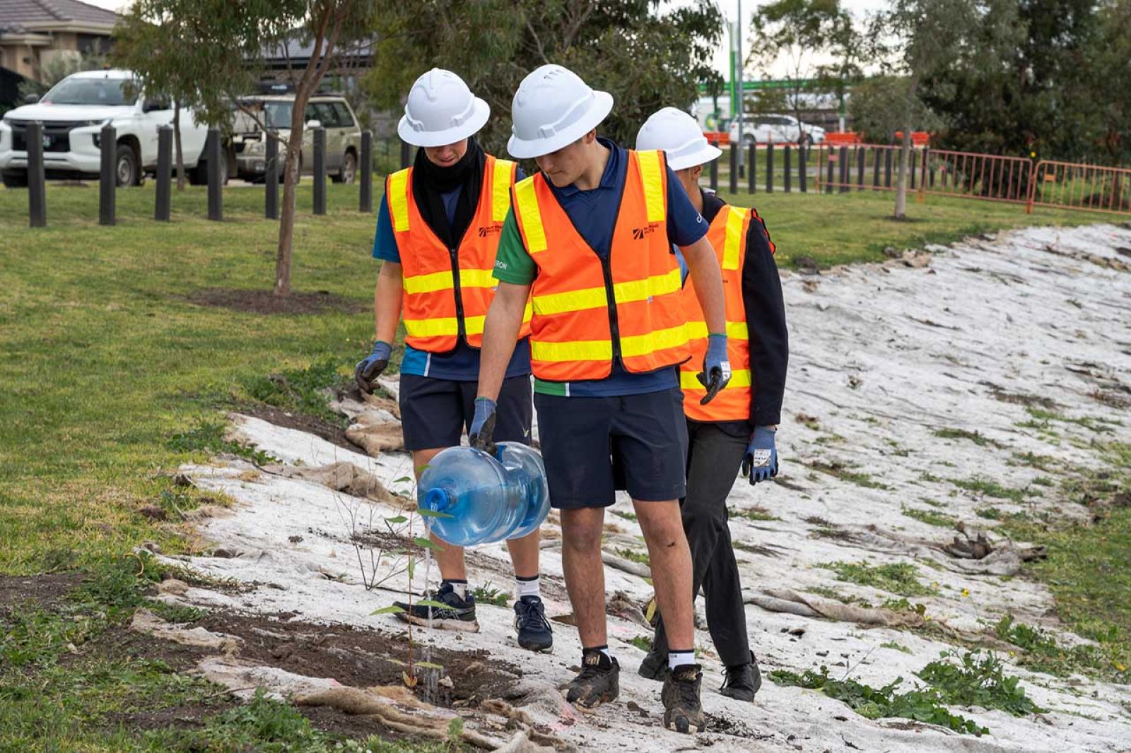 Working with local schools