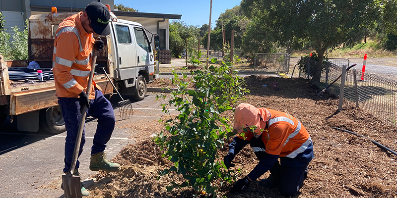 Image of two people in high vis planting a tree 