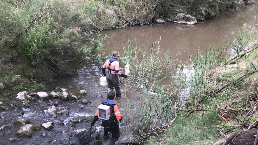 Aerial of two environmental specialists wearing high-vis protective equipment completing field studies in a creek.
