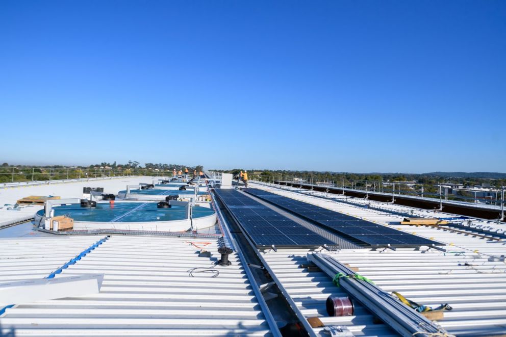 Solar panels at Pakenham