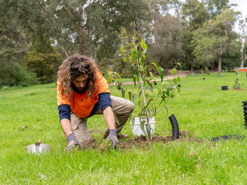 Team member planting a tree onsite