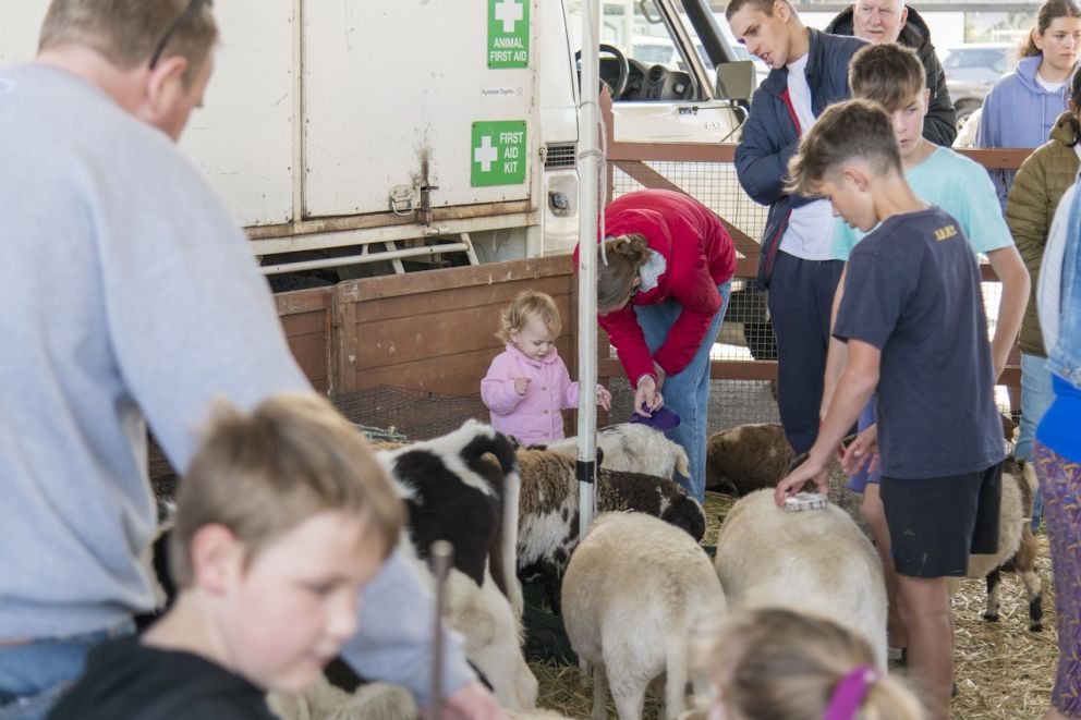 Petting zoo at Parkdale Celebration