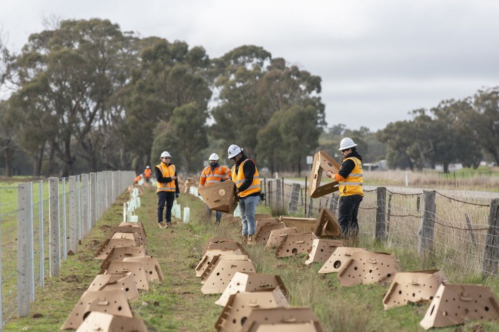 The Shepparton Line Upgrade team assembling ReHabitat Plant Pods