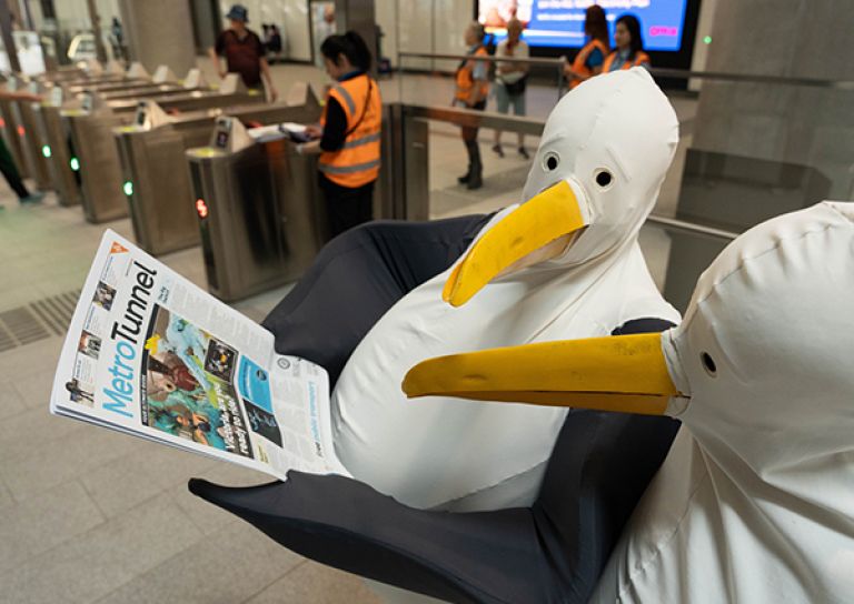 Summer Series entertainers