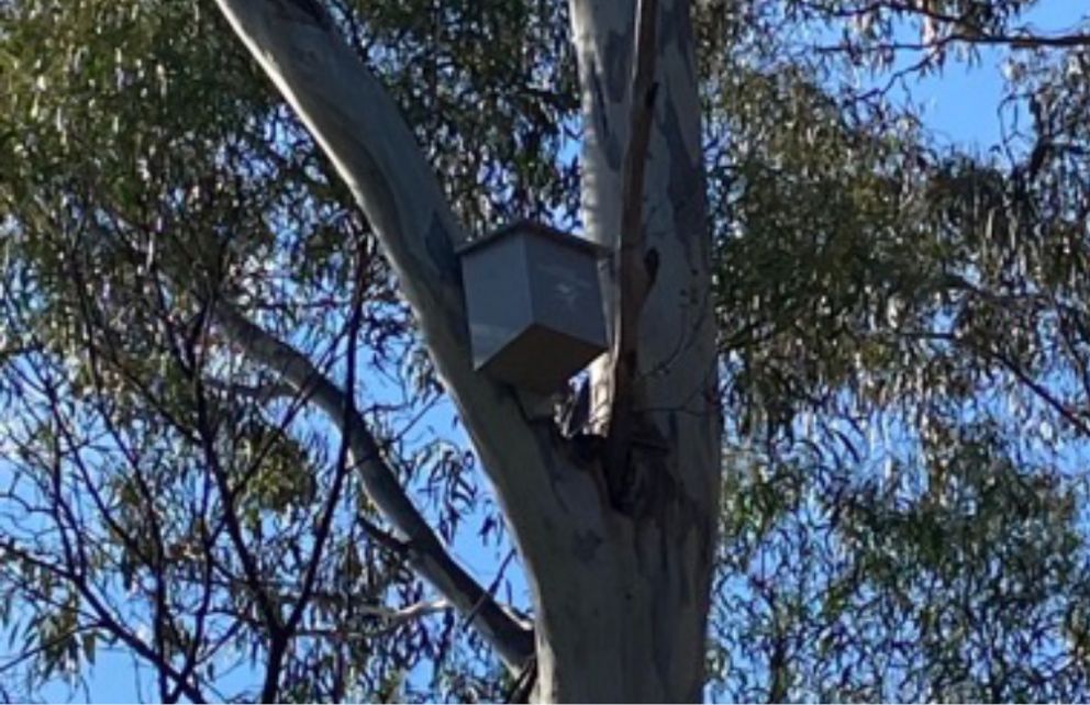 Nesting boxes