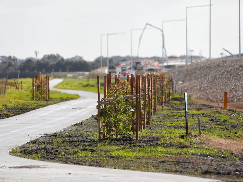 Progress on landscaping and the shared path along the Mordialloc Freeway next to Aspendale Gardens