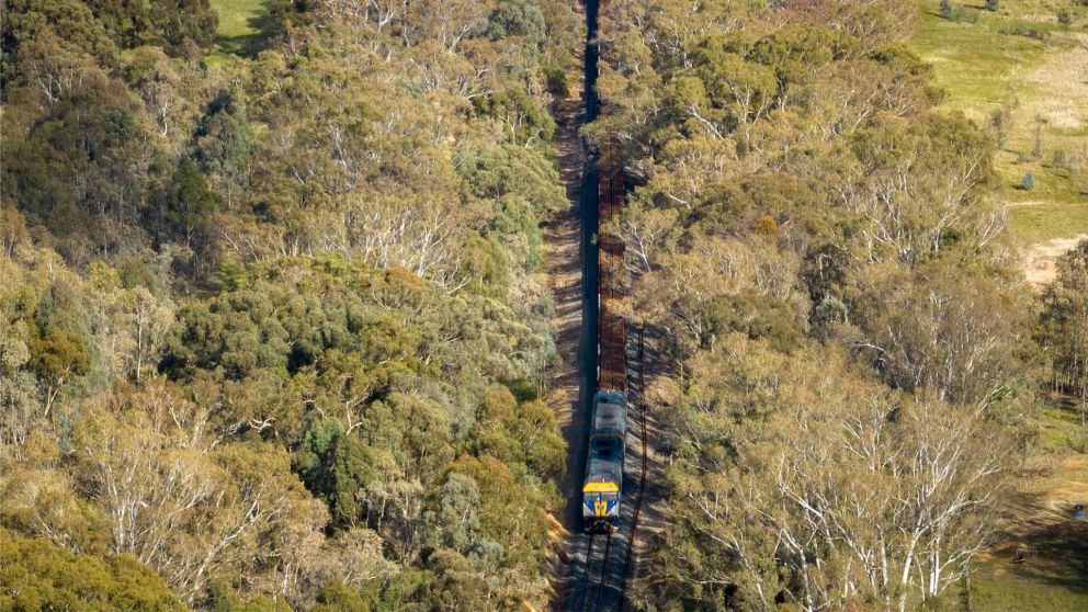 Drone image of a freight train travelling through bushland