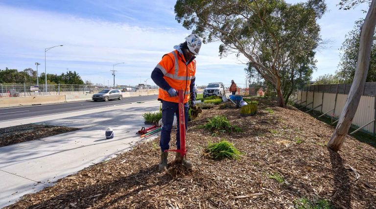 Landscaping works on Mickleham Road